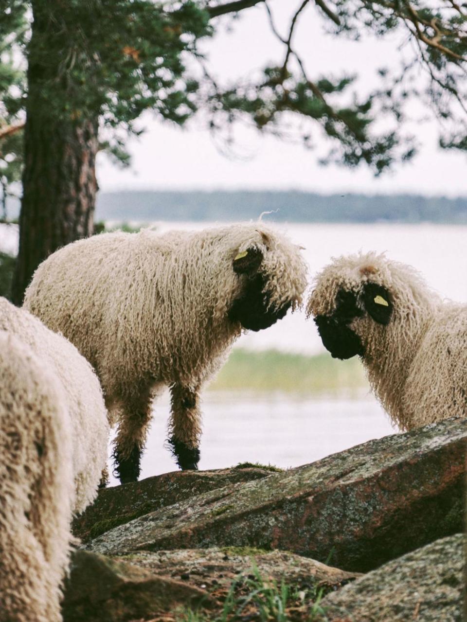Snaellfaell Country Living - Akerbo Gard Charmigt Renoverad Flygel Kristinehamn Luaran gambar